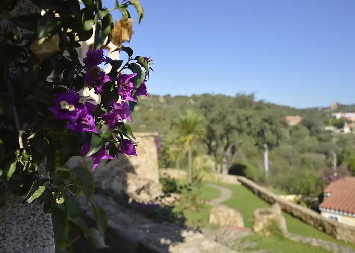 公寓式酒店 La Costa View 3*