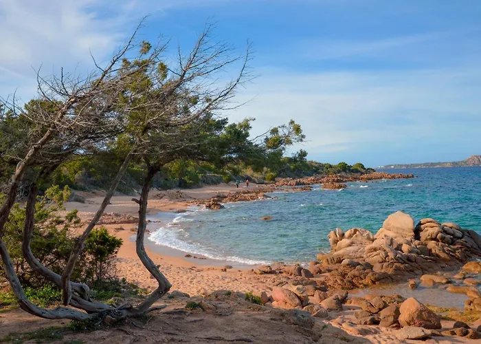 公寓式酒店 La Costa View