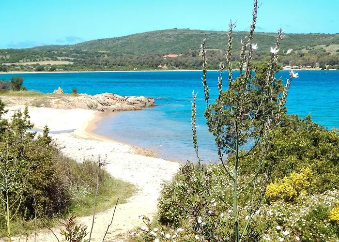 公寓式酒店 La Costa View 3*