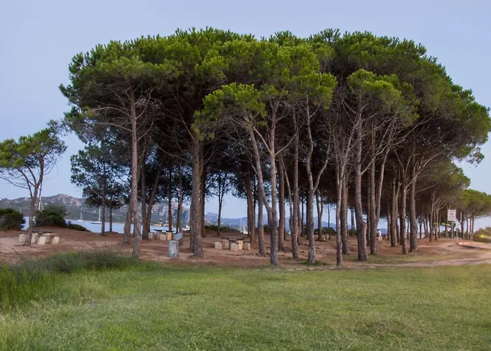 La Costa View 阿尔扎凯纳